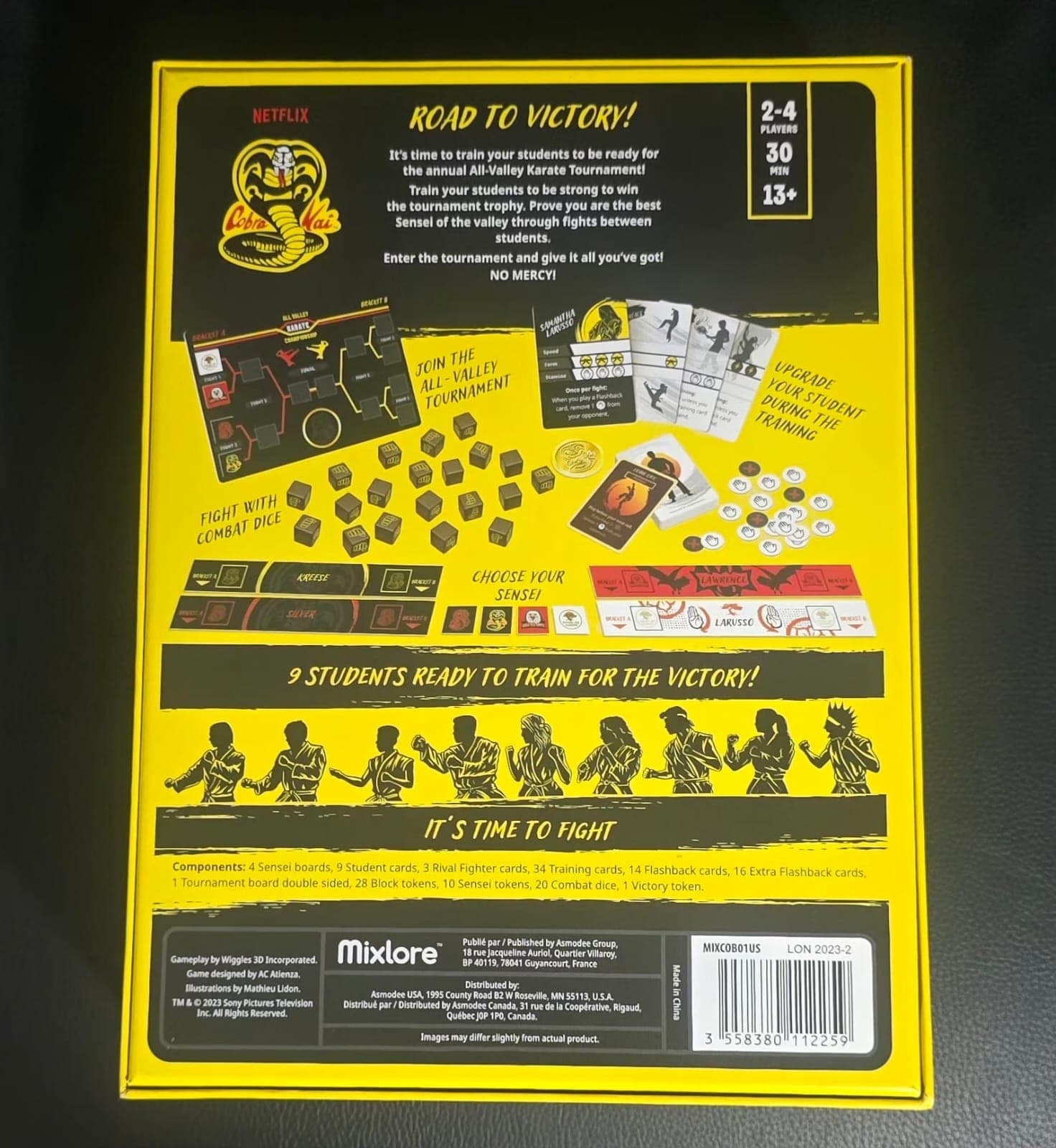 Cobra Kai: Road to Victory